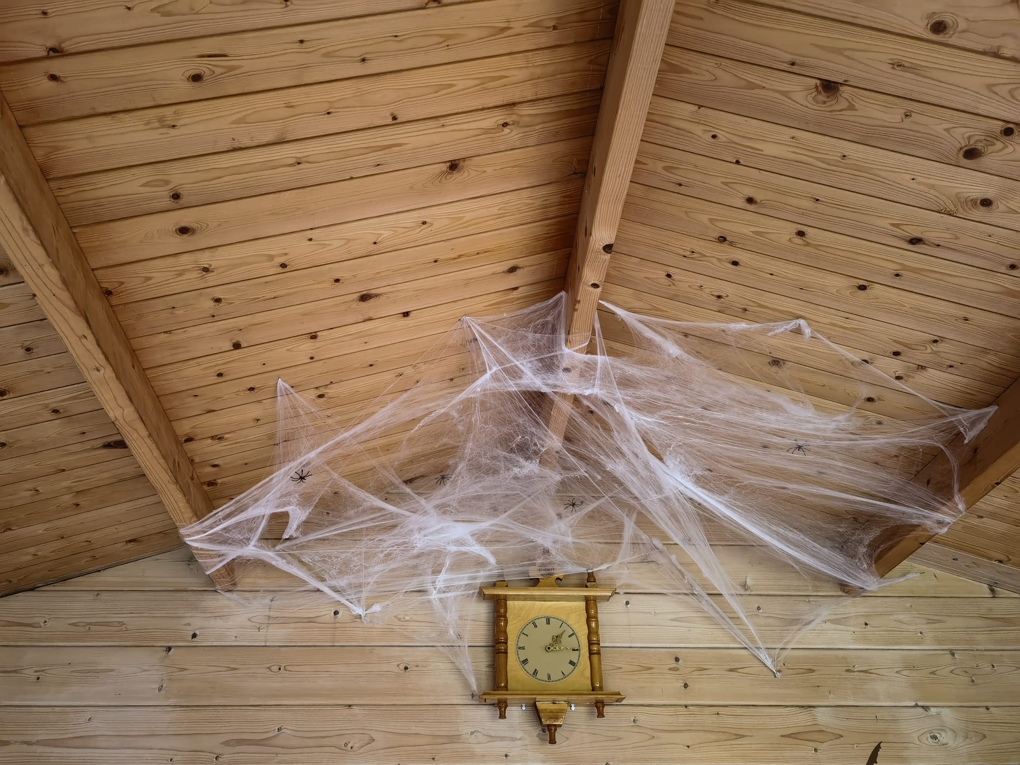 Inside the cabin (5)