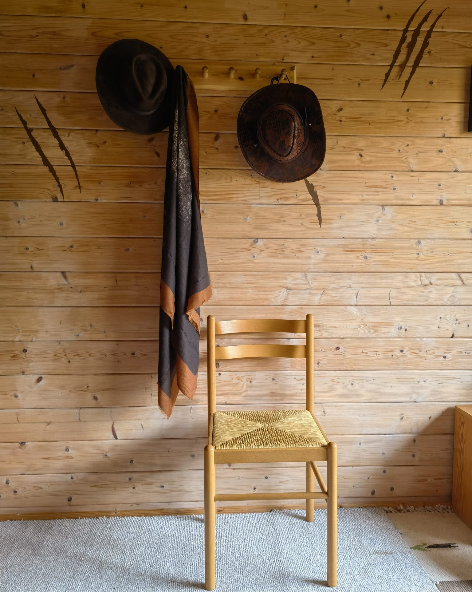 Inside the cabin (7)